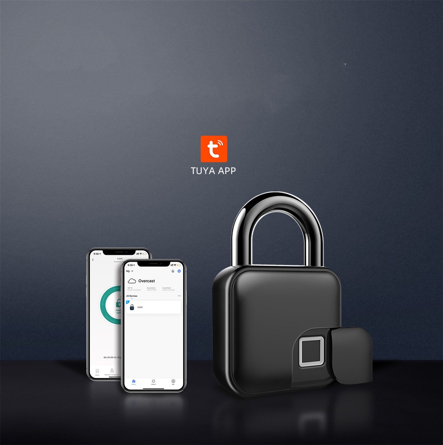 Smart Padlock Fingerprint Cabinet Lock Cabinet